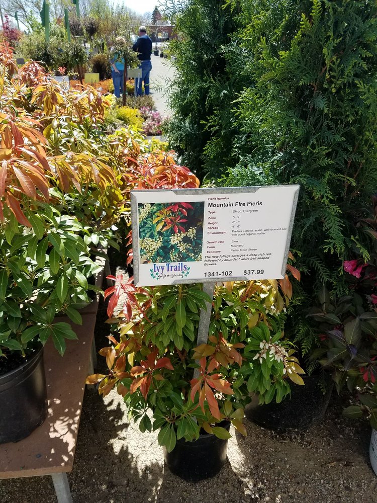 Ivy Trails Garden Center Nurseries & Gardening 3200 Main St, Green