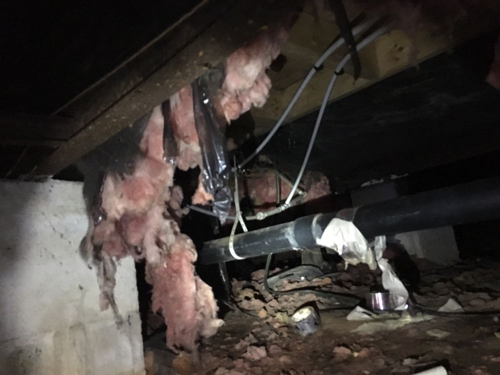 Dixon Home Inspection