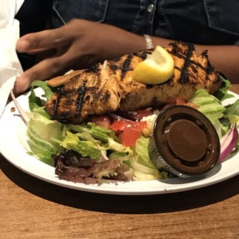 Taziki S Mediterranean Cafe Charlotte Taziki S Mediterranean Cafe Charlotte