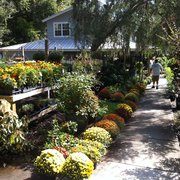 entrance photo of garden gate nursery gainesville fl united states annuals and perennials - Garden Gate Nursery entrance photo of garden gate nursery gainesville fl united states annuals and perennials - Garden Gate Nursery