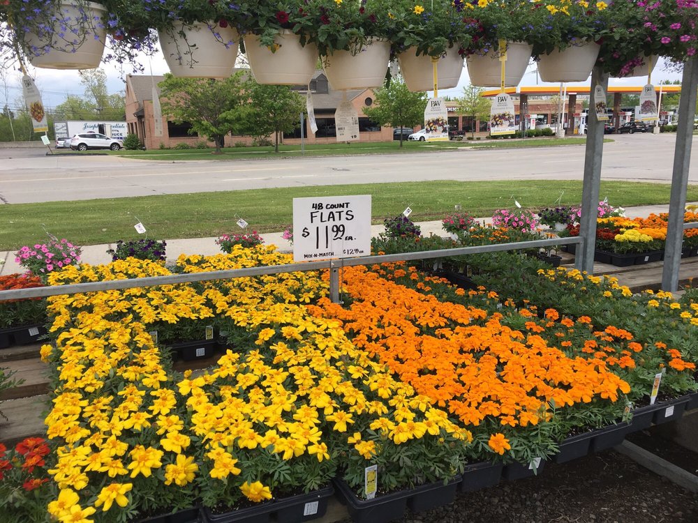 Saxtons Flower Center Florists 24233 Orchard Lake Rd, Farmington