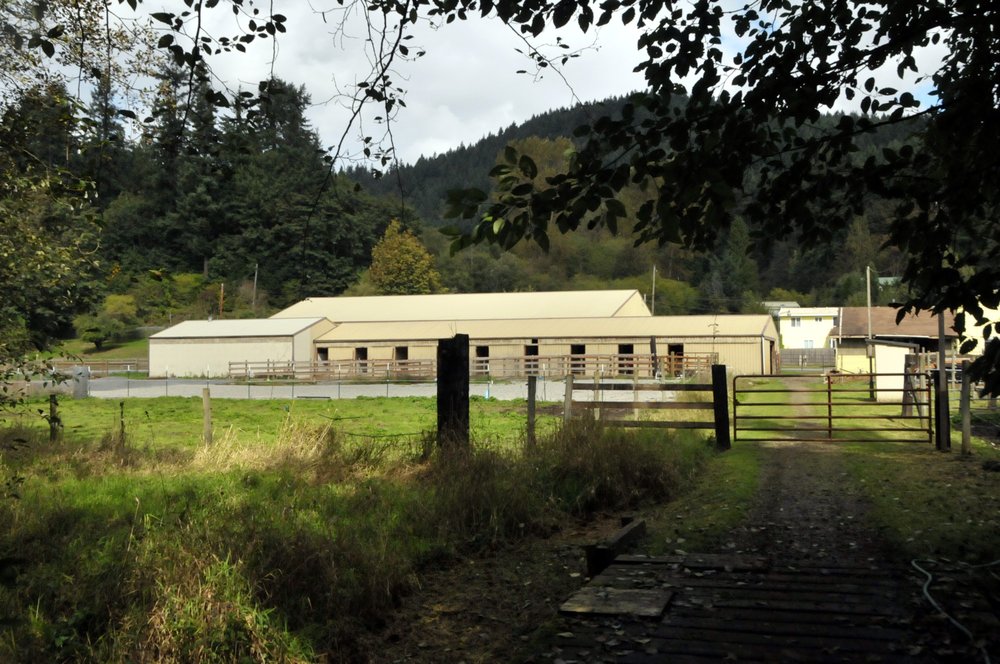 Cougar Mountain Stables