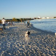 Davis Island Dog Beach 102 Photos 69 Reviews Parks 1002 Photo Of Davis Island Dog Beach Tampa Fl United States
