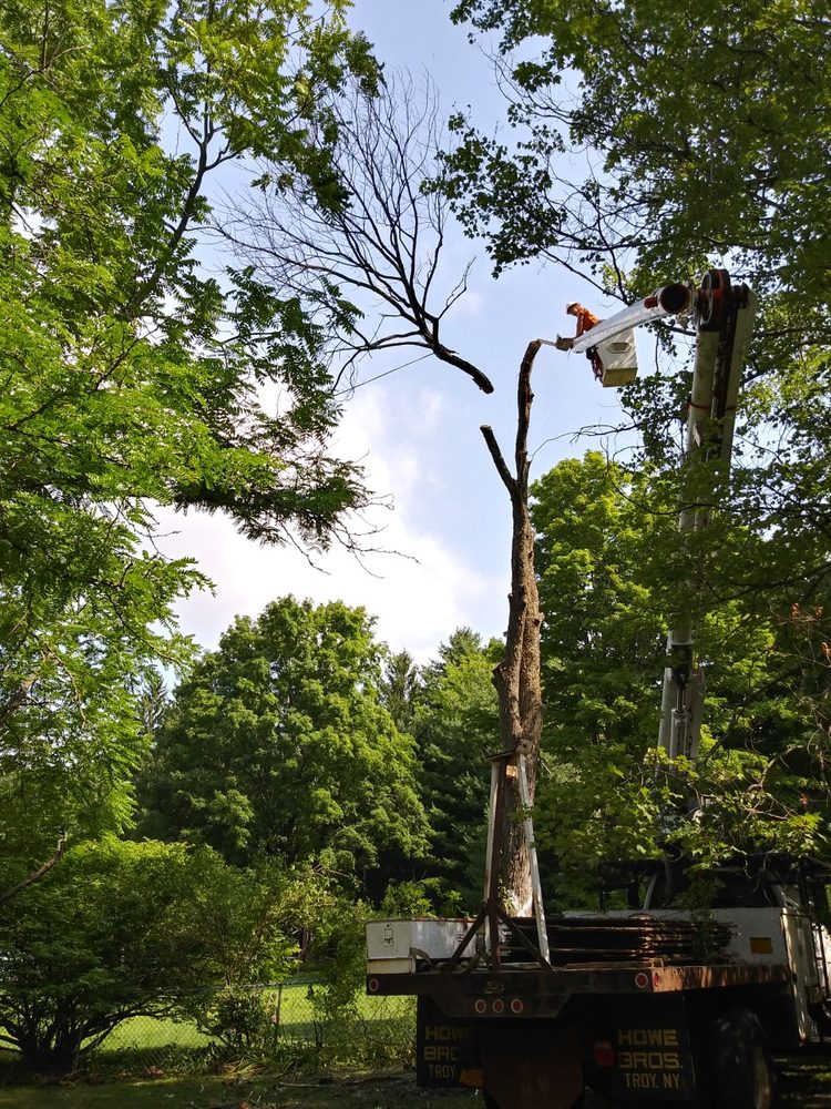 CPE Tree Service