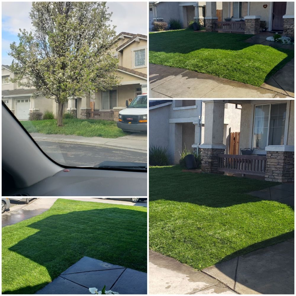 MBM Landscape