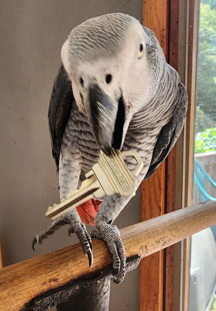 Top Locksmith