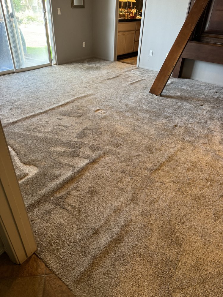 Carpet Repair by Ernesto Gutierrez