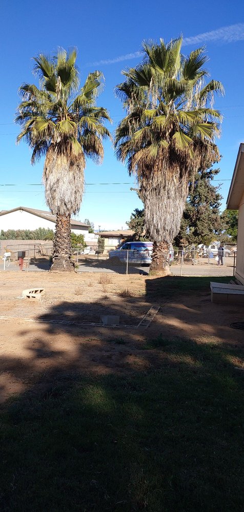 Marcos Santos Landscaping & Gardening Service