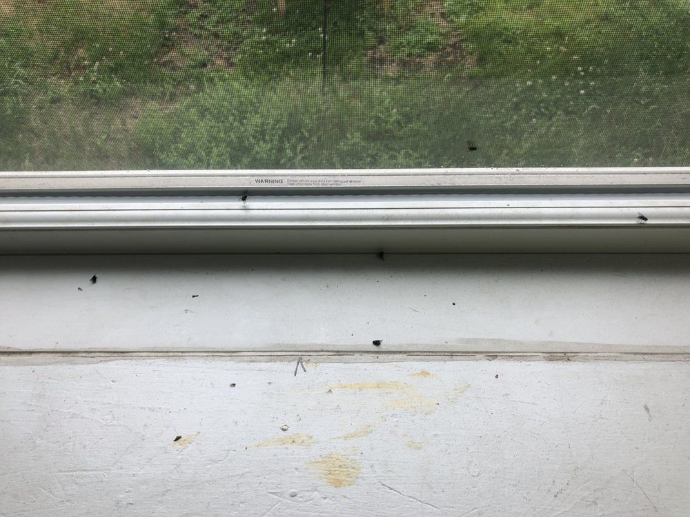 Maine Real Estate Management
