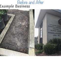 best yard cleaning in walnut creek ca last updated january 2019 yard cleaning business