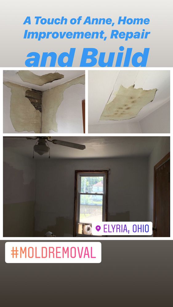 image of business A Touch of Anne Restoration