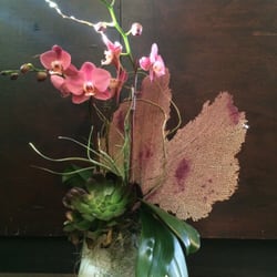 Photo Of Green Door Design Mill Valley Ca United States Dusty Rose Photo Of Green Door Design Mill Valley Ca United States Dusty Rose