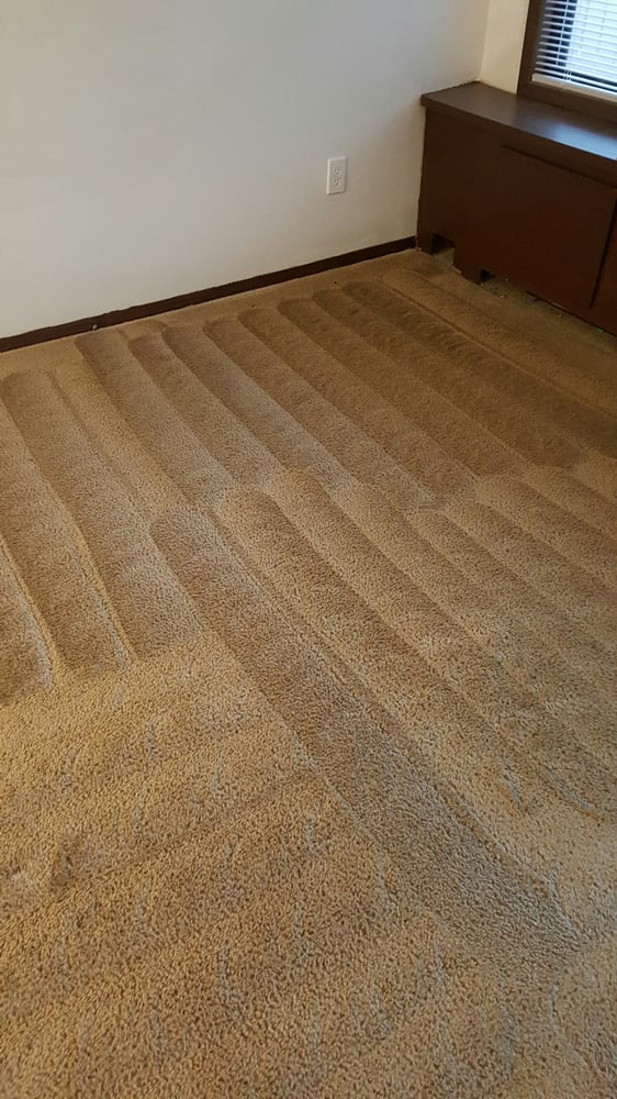 Carpet Care Connection CLOSED 13 Photos Carpet Cleaning