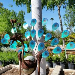 Nurseries Gardening In Phoenix Yelp Whitfill Nursery