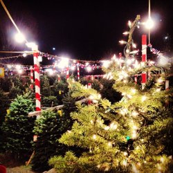 Delancey Street Christmas Trees 10 Reviews