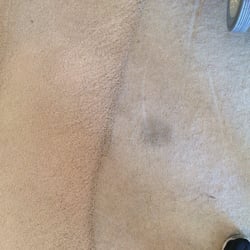 Am2pm Carpet Cleaning 19 Reviews 325 S Photo Of A P Carpet Center Mesa Az United States Great
