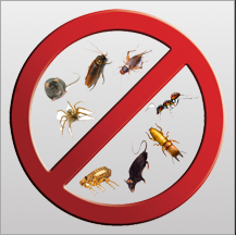 Manny's Termite & Pest Control