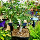 Payless Hardware Rockery Nursery 202 Photos 102 Reviews