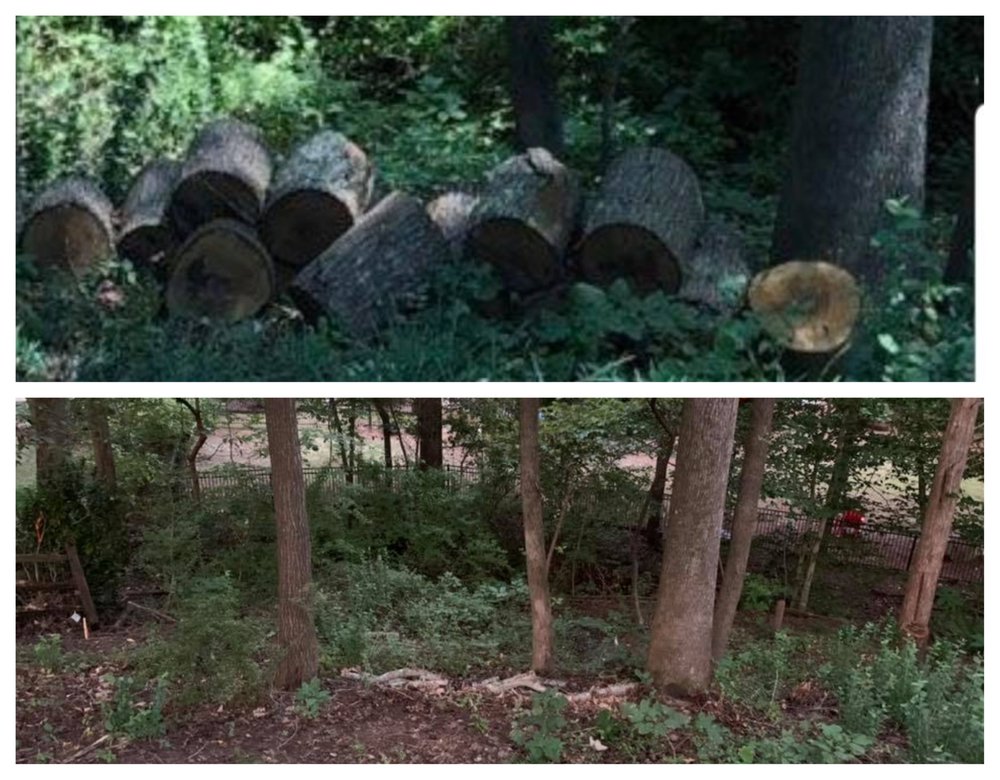 Precision Junk Removal