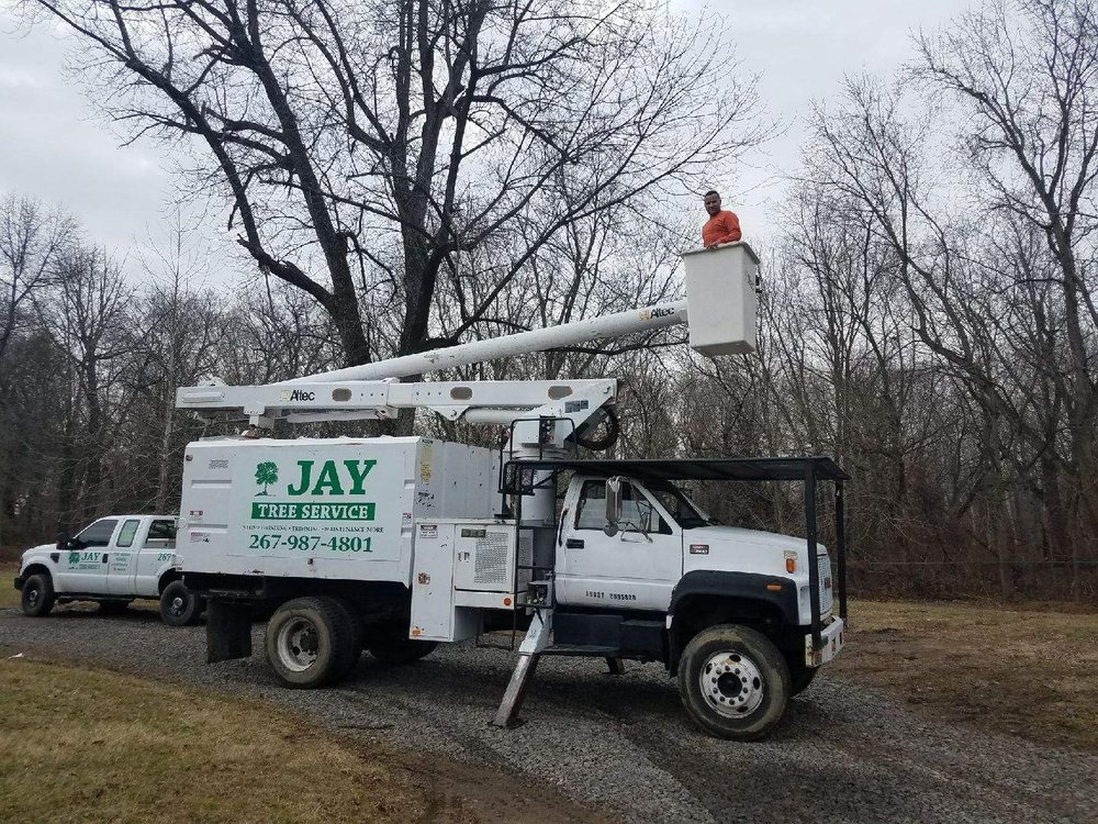 Jay Tree Service