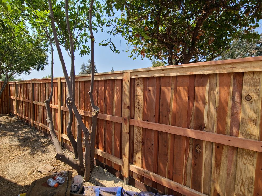 Family Fencing