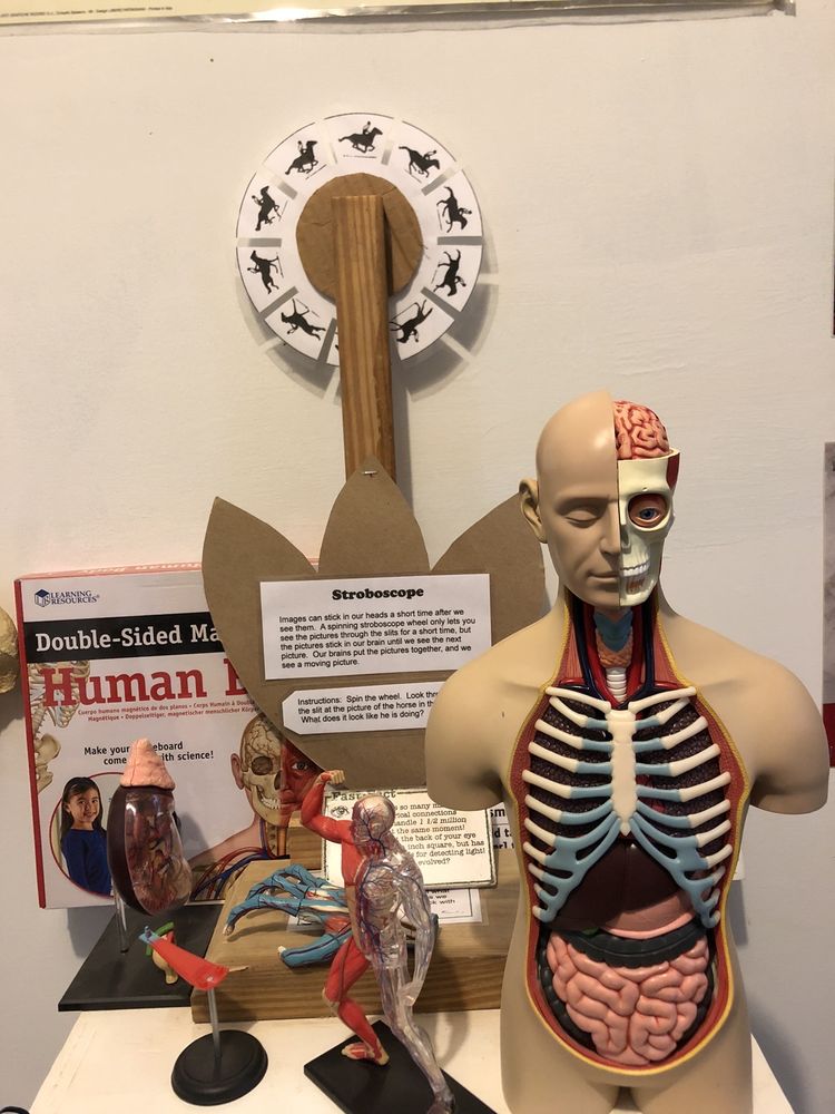 Dinosaur Adventure Land