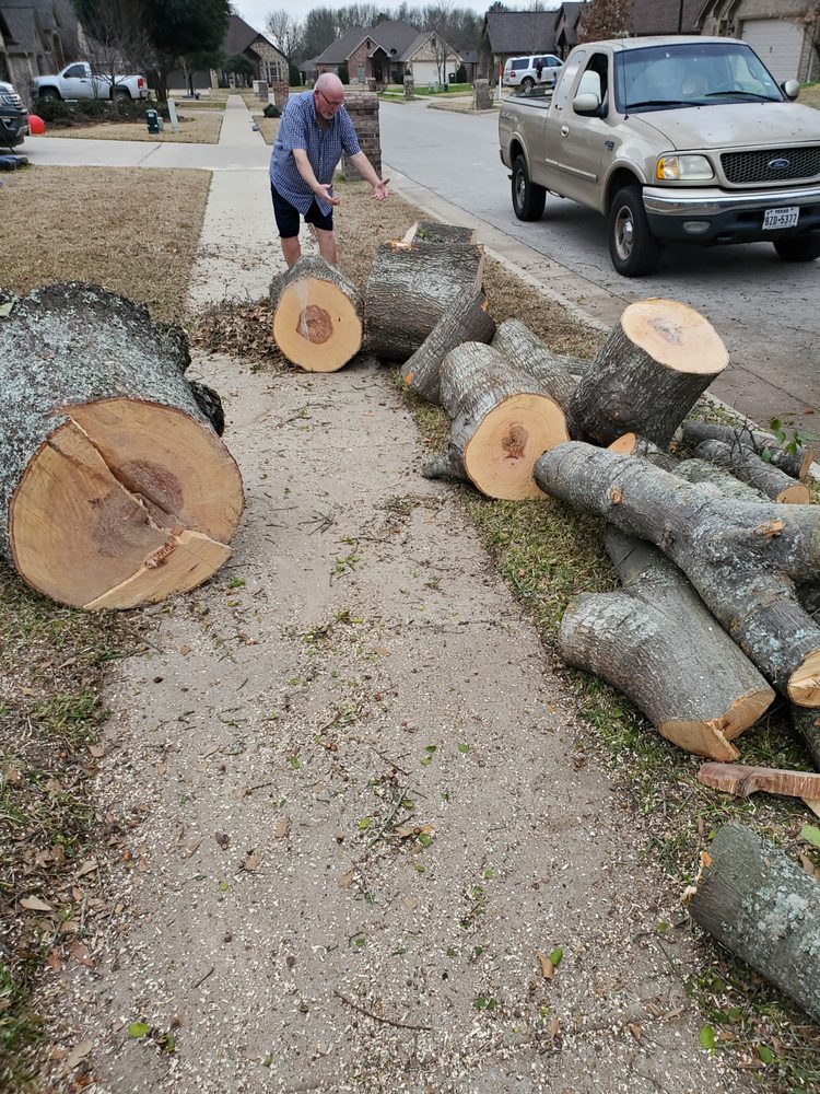 Baileys Lawn & Tree Service