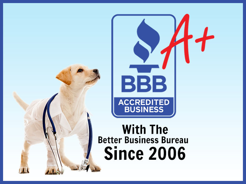 Animal Behavior College 14 Photos & 25 Reviews Vocational