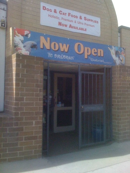 bird brain pet stores 1025 acoma st golden triangle bird brain pet stores 1025 acoma st golden triangle
