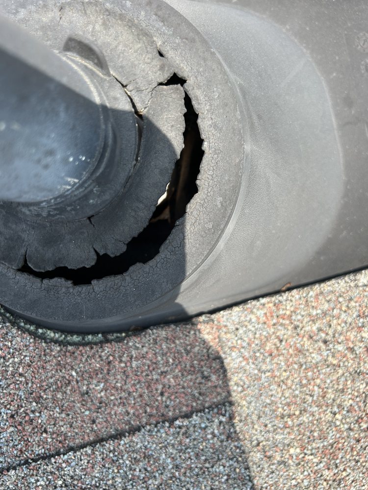 The Last Chance Gutter Cleaning & Home Maintenance