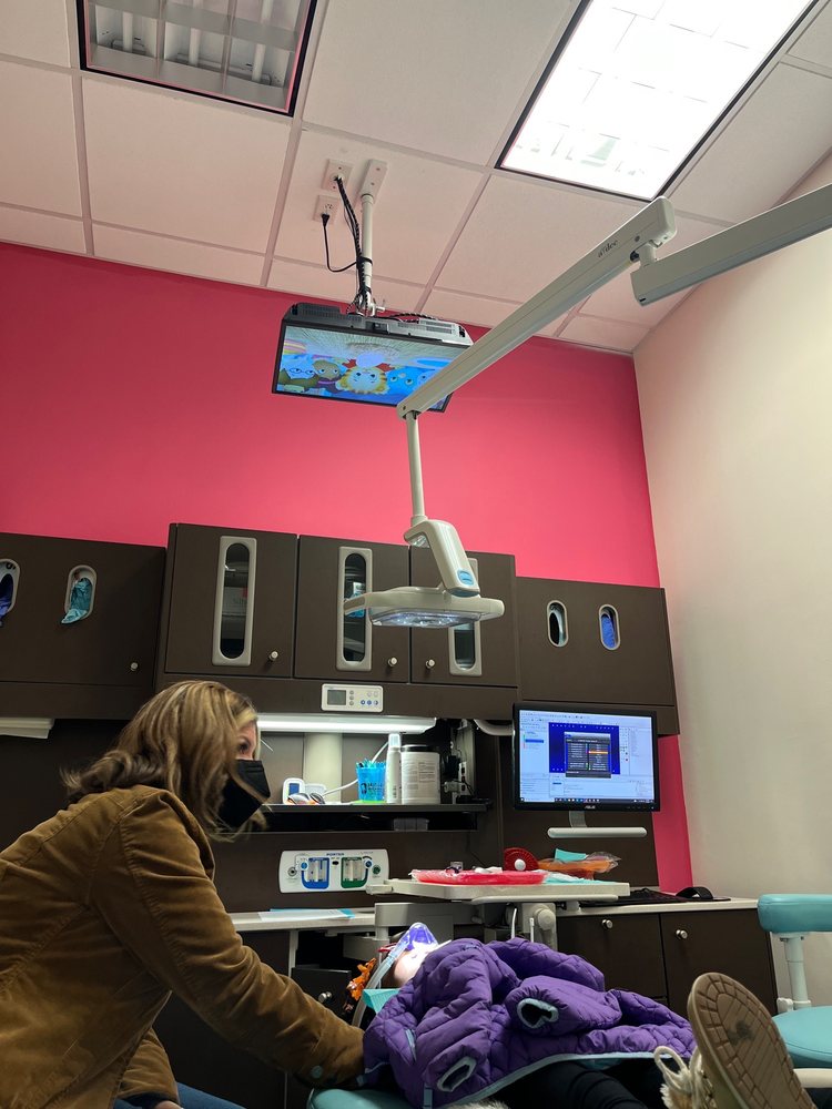 image of business Frisco Mini Molars