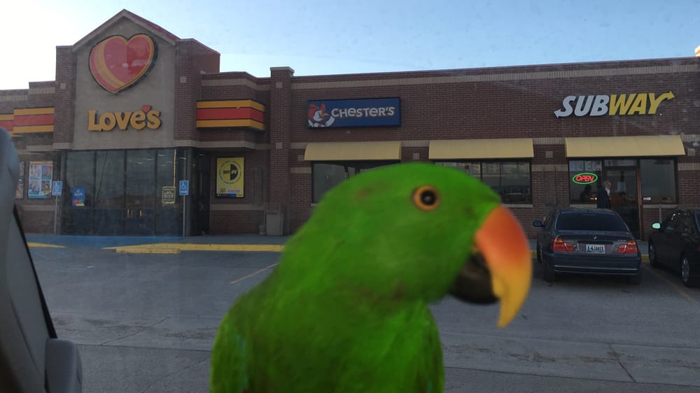 Love’s Travel Stop 13 Reviews Gas Stations 314 Kelly Rd