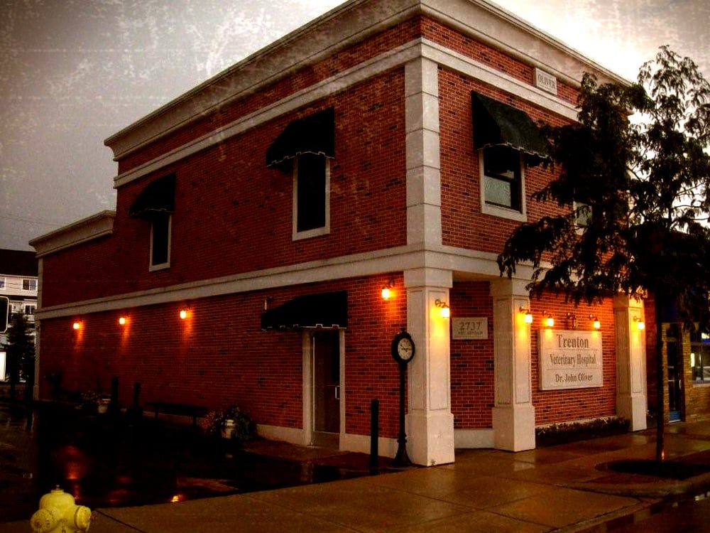 Trenton Veterinary Hospital Veterinarians 2737 W Jefferson Ave