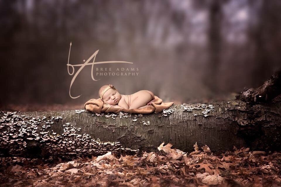 Bree Adams Photography