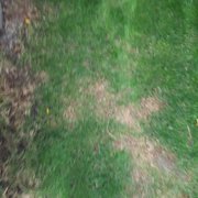 Lawn Doctor 10 Photos 20 Reviews Pest Control Southwest Photo Of Lawn Doctor Denver Co United States