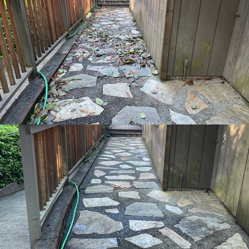 Ciotti Yard Maintenance