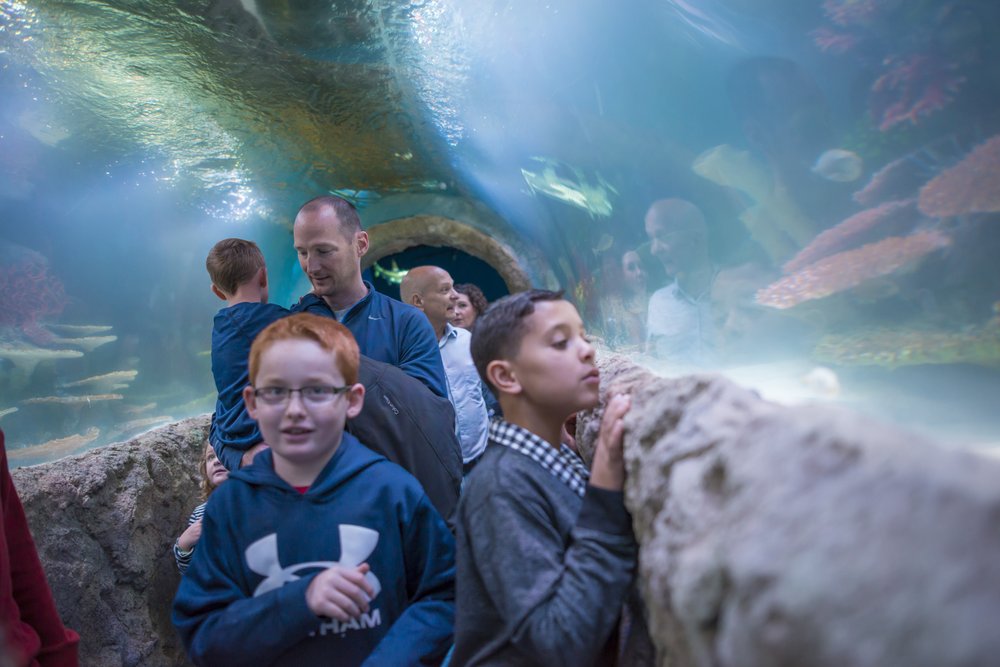 Via Aquarium 49 Photos & 21 Reviews Aquariums 93 W Campbell Rd