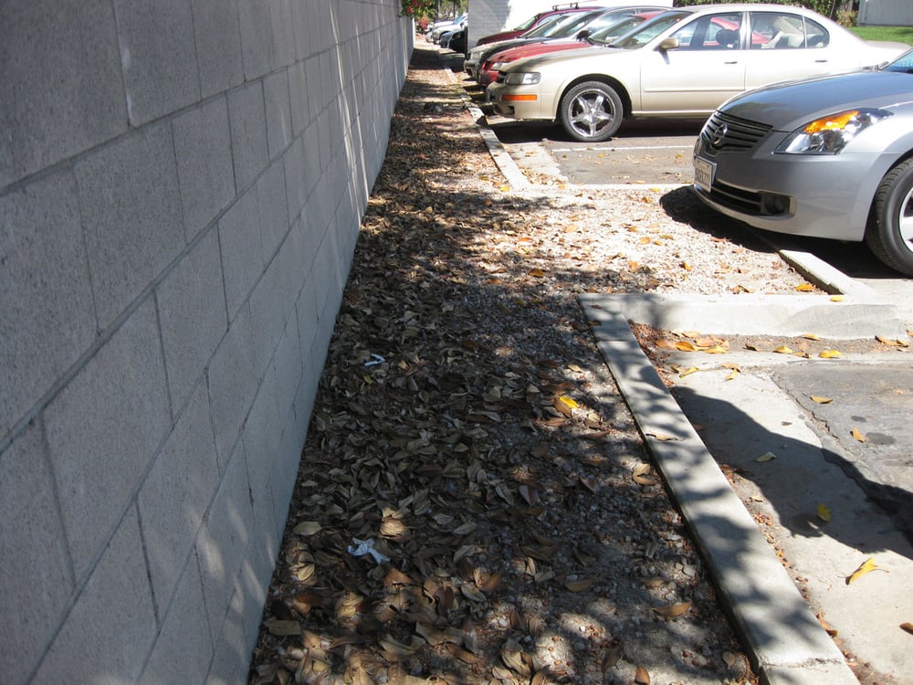 Esquire Landscape Maintenance
