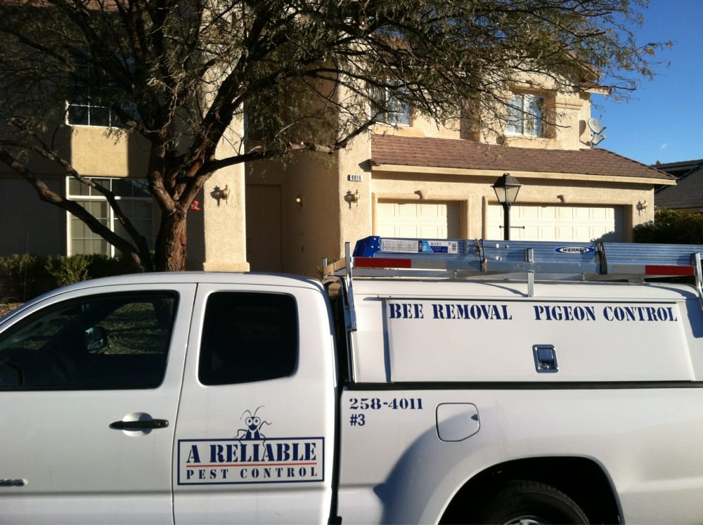 A Reliable Pest Control 20 Photos & 45 Reviews Pest Control The