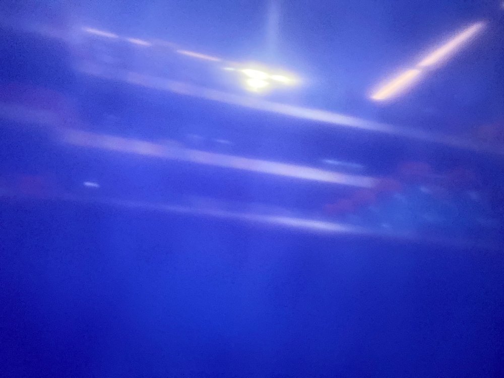 image of business Almouie Pediatrics