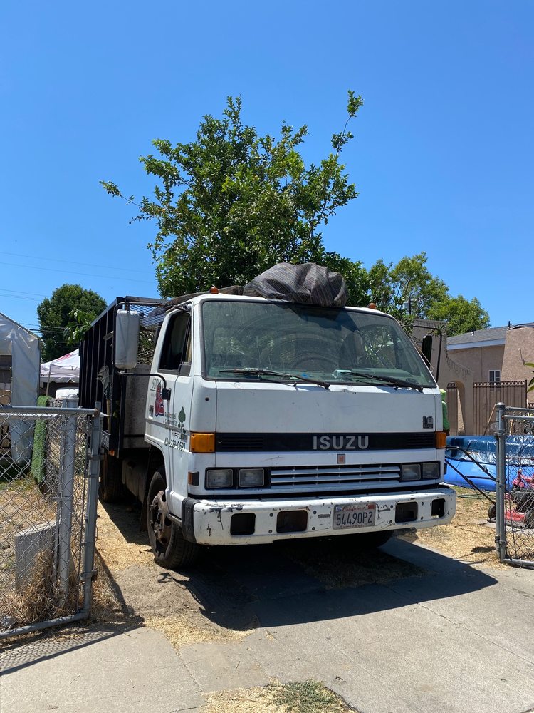Soriano Landscaping and Tree Service