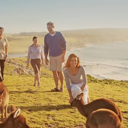 Photo of BILBYTRAVEL - Viewbank Victoria, Australia