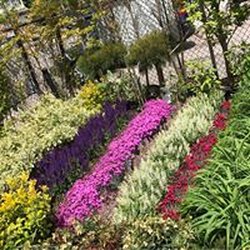 C Fanelli Landscape Supply 30 Photos Nurseries C Fanelli Landscape Supply 30 Photos Nurseries