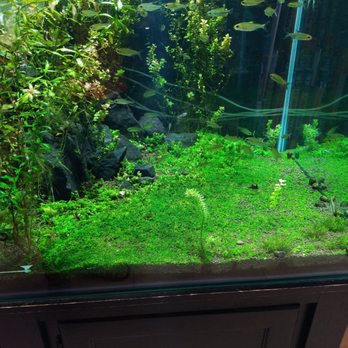monster aquarium 46 photos