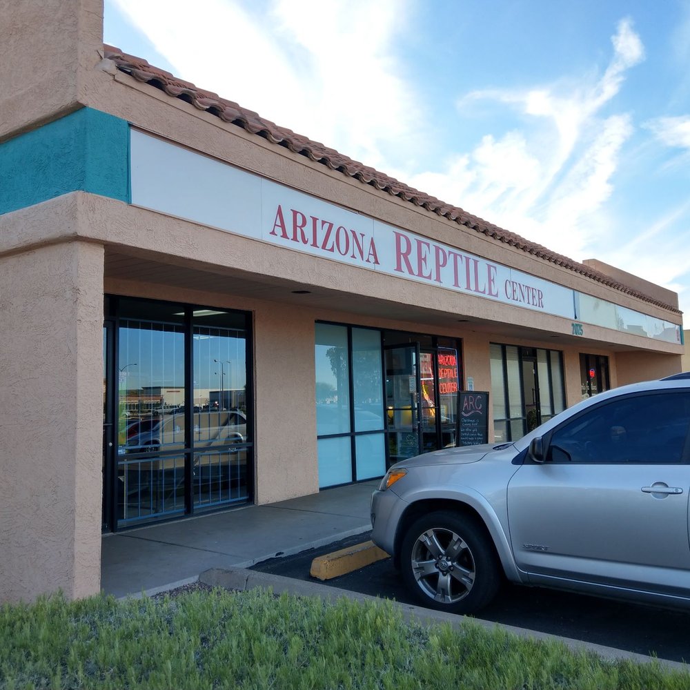 East Valley Reptile Stores Yelp
