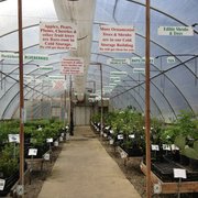 Raintree Nursery 12 Photos 22 Avis Jardinerie Pépinière Photo De Raintree Nursery Morton Wa