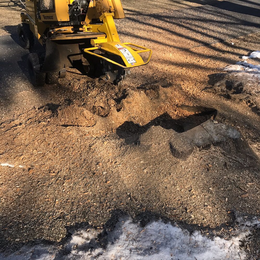 Upstate Stump Grinding