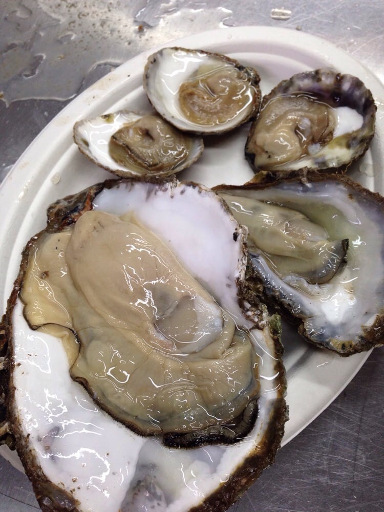 Delicious! Extra large & medium rock oysters & small natives. - Yelp