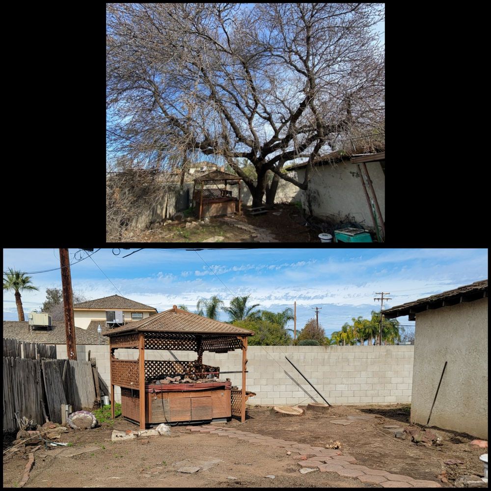 Empire Tree Service