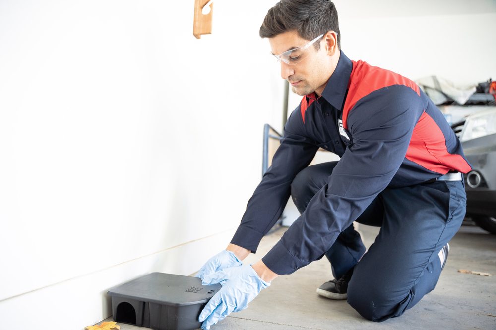 Fox Pest Control - McAllen